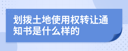 划拨土地使用权转让通知书是什么样的