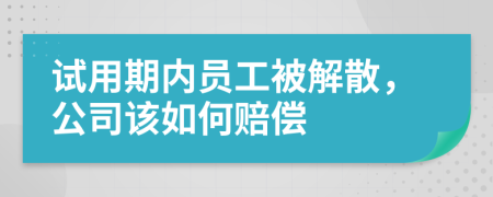 试用期内员工被解散，公司该如何赔偿