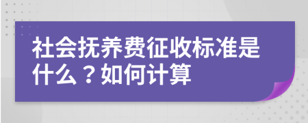 社会抚养费征收标准是什么？如何计算