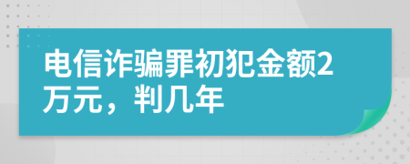 电信诈骗罪初犯金额2万元，判几年