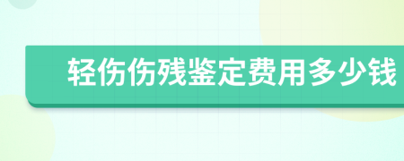 轻伤伤残鉴定费用多少钱