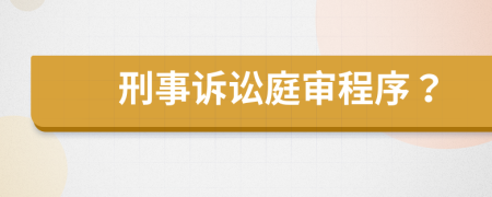 刑事诉讼庭审程序？