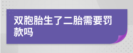 双胞胎生了二胎需要罚款吗