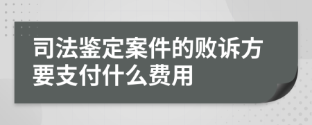 司法鉴定案件的败诉方要支付什么费用