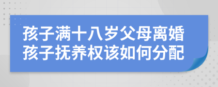 孩子满十八岁父母离婚孩子抚养权该如何分配