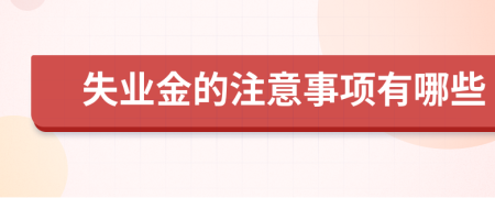 失业金的注意事项有哪些