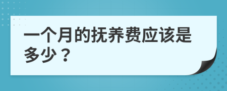 一个月的抚养费应该是多少？