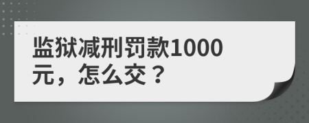 监狱减刑罚款1000元，怎么交？