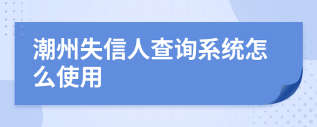 潮州失信人查询系统怎么使用