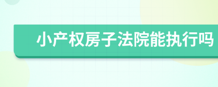 小产权房子法院能执行吗