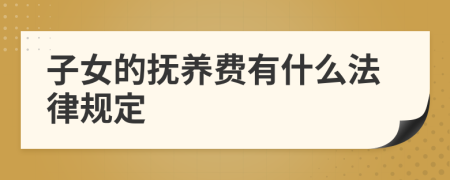 子女的抚养费有什么法律规定