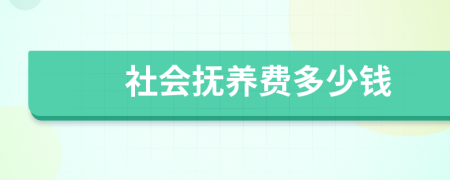 社会抚养费多少钱