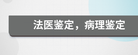 法医鉴定，病理鉴定