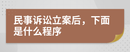 民事诉讼立案后，下面是什么程序
