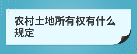 农村土地所有权有什么规定