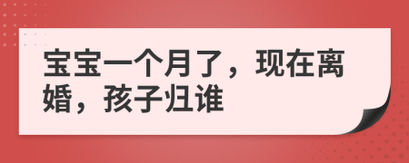 宝宝一个月了，现在离婚，孩子归谁