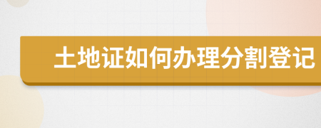 土地证如何办理分割登记