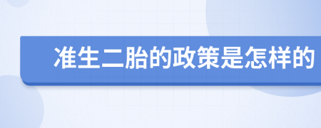 准生二胎的政策是怎样的