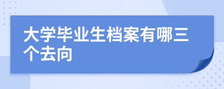 大学毕业生档案有哪三个去向