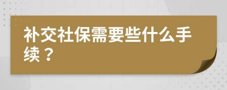 补交社保需要些什么手续？