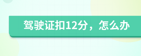 驾驶证扣12分，怎么办