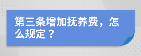 第三条增加抚养费，怎么规定？