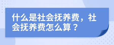 什么是社会抚养费，社会抚养费怎么算？