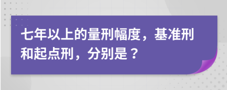 七年以上的量刑幅度，基准刑和起点刑，分别是？
