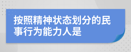 按照精神状态划分的民事行为能力人是