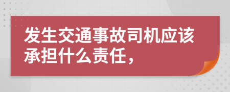 发生交通事故司机应该承担什么责任，