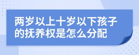 两岁以上十岁以下孩子的抚养权是怎么分配