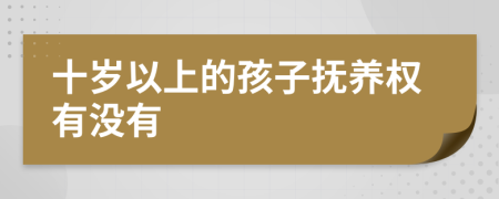 十岁以上的孩子抚养权有没有