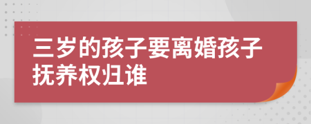 三岁的孩子要离婚孩子抚养权归谁