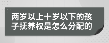 两岁以上十岁以下的孩子抚养权是怎么分配的