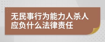 无民事行为能力人杀人应负什么法律责任