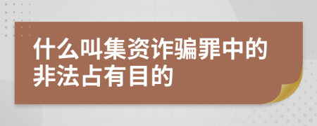 什么叫集资诈骗罪中的非法占有目的