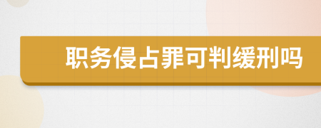 职务侵占罪可判缓刑吗