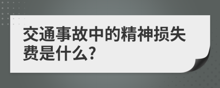 交通事故中的精神损失费是什么?
