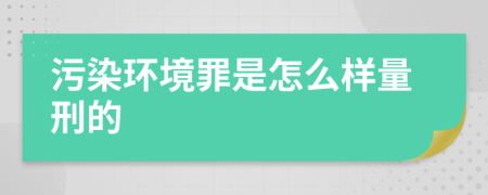 污染环境罪是怎么样量刑的