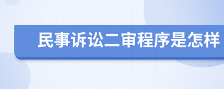 民事诉讼二审程序是怎样