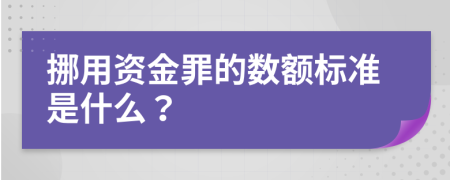 挪用资金罪的数额标准是什么？