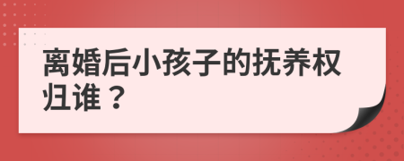 离婚后小孩子的抚养权归谁？