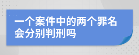 一个案件中的两个罪名会分别判刑吗