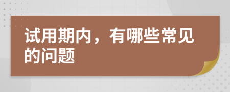 试用期内，有哪些常见的问题