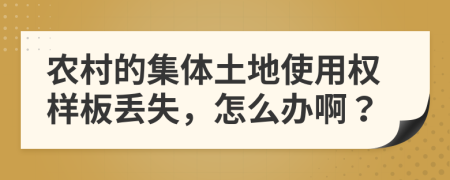 农村的集体土地使用权样板丢失，怎么办啊？