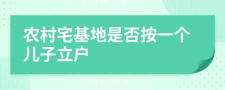 农村宅基地是否按一个儿子立户