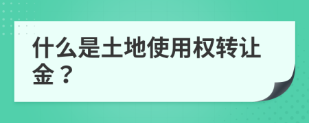 什么是土地使用权转让金？