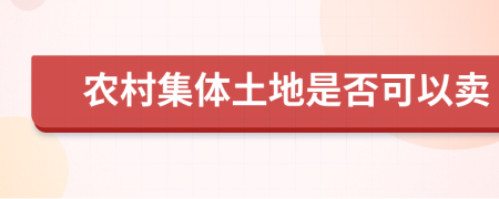 农村集体土地是否可以卖