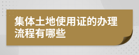 集体土地使用证的办理流程有哪些