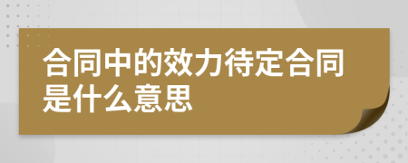 合同中的效力待定合同是什么意思